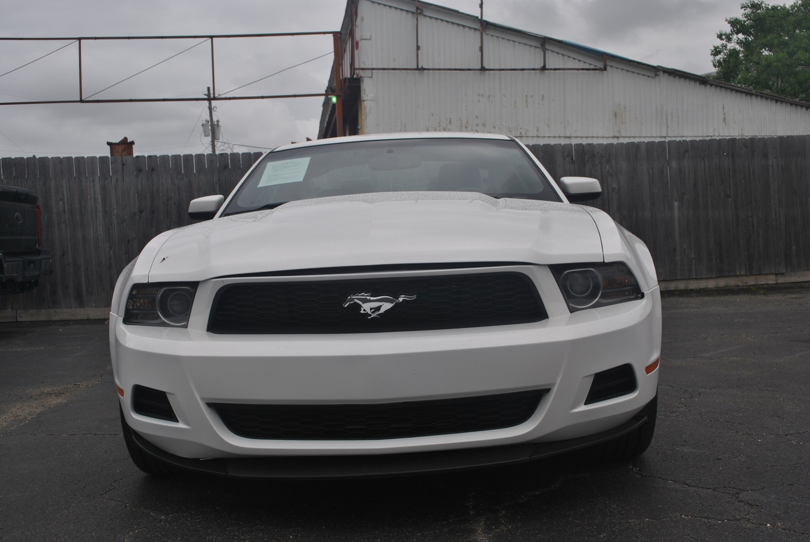 2013 Ford Mustang V6's photo